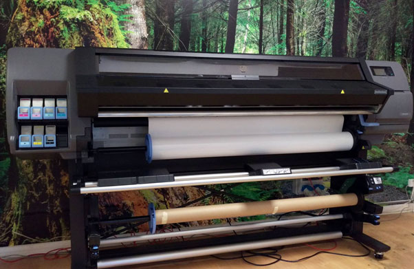 Digital Wallpaper and Canvases